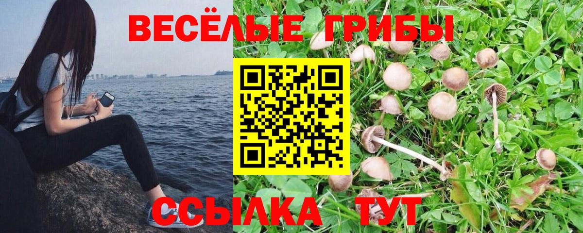 Галлюциногенные грибы Magic Shrooms Михайловка