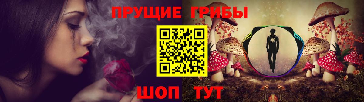 Михайловка  Псилоцибиновые грибы Magic Shrooms  Вход с VPN 